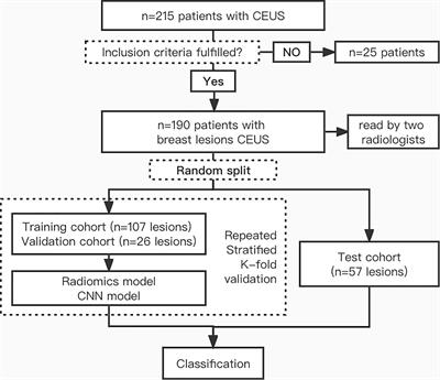 Ultrasound-based radiomics analysis for differentiating benign and malignant breast lesions: From static images to CEUS <mark class="highlighted">video analysis</mark>